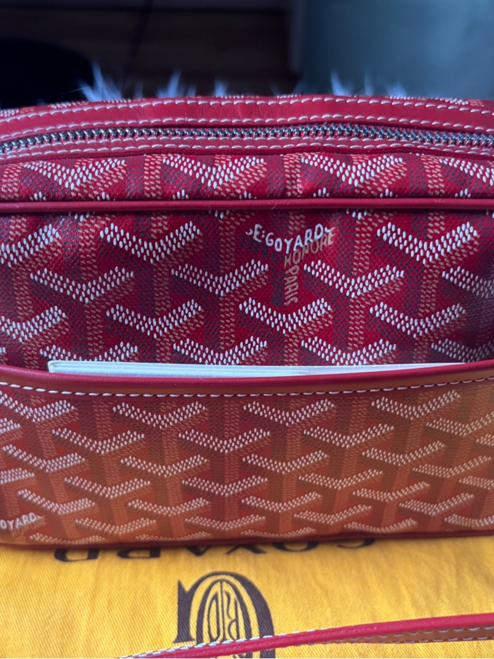 Goyard Cap Vert Camera bag